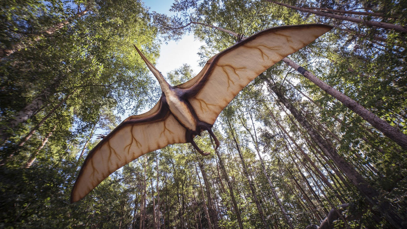 Pterosaur - Image by Sebastian Ganso