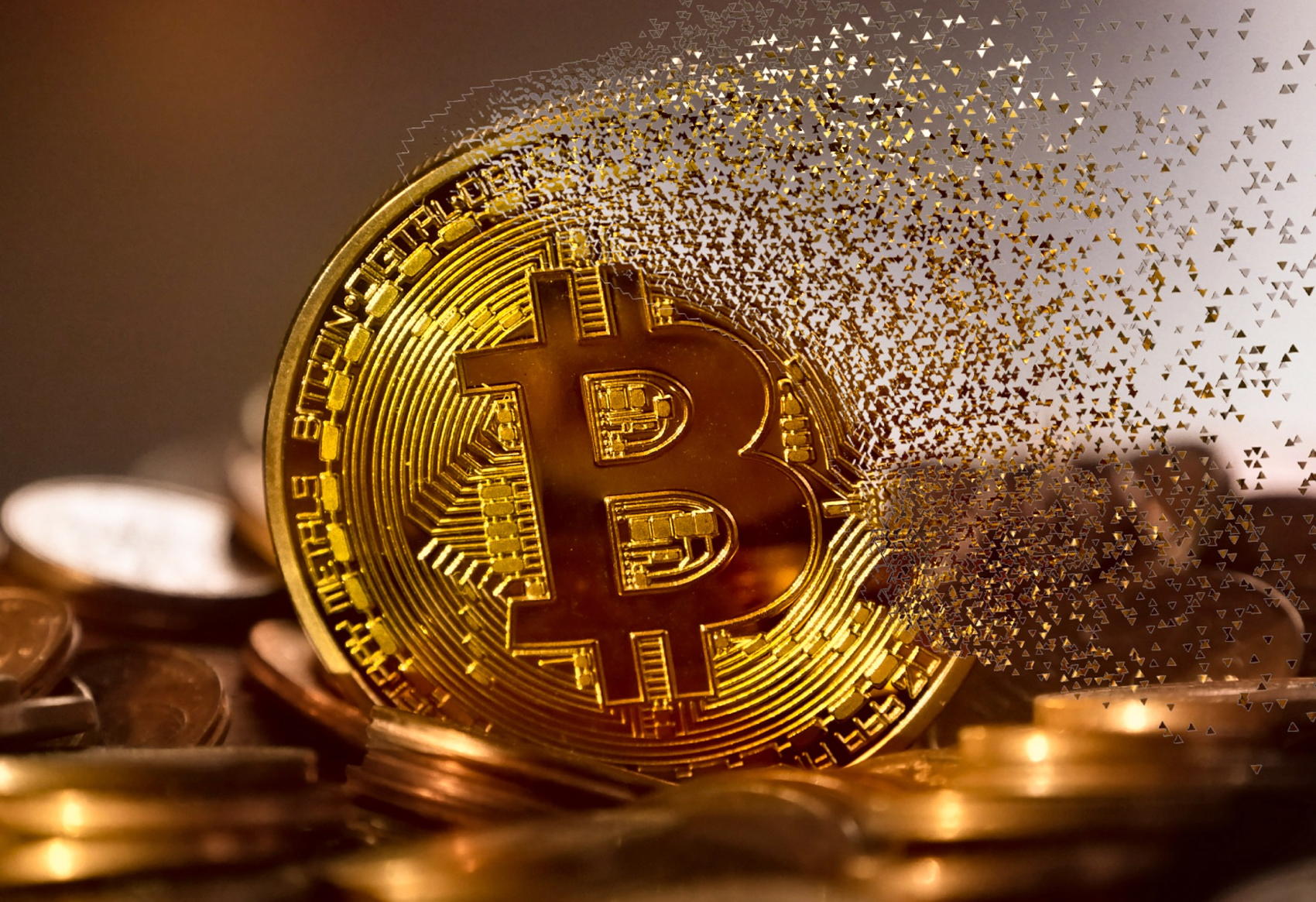white house crypto