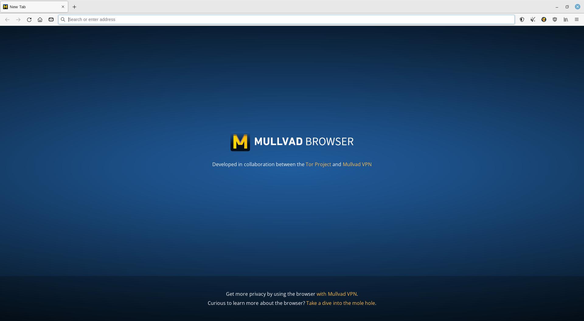 Mullvad Browser Splash Screen